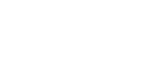 IBIS Service GmbH & Co. KG